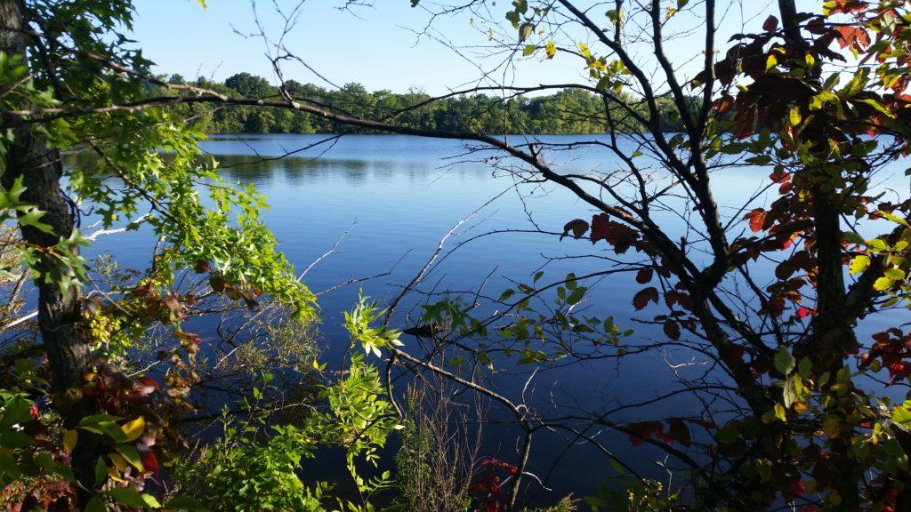 Fresh Pond, cambridge